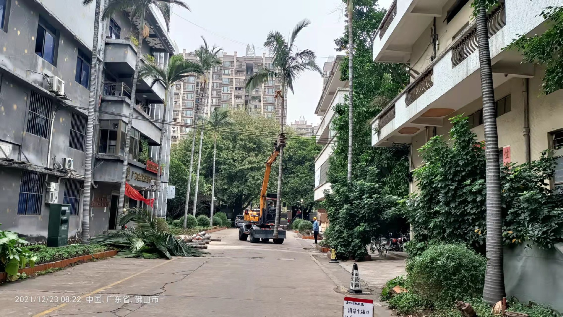 佛山園林綠化工程傳承綠色理念