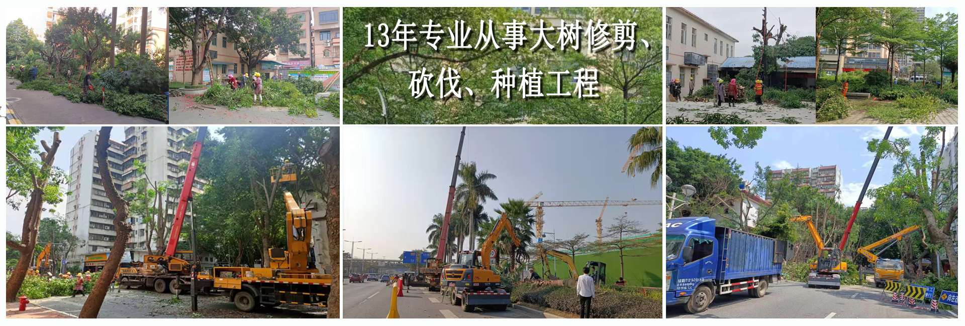 佛山園林綠化工程,佛山樹(shù)木大樹(shù)修剪,佛山植物租賃，佛山綠植出租租賃，佛山綠化養(yǎng)護(hù)